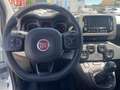 Fiat Panda 4x2 FireFly Hybrid 70 City Life Weiß - thumbnail 11