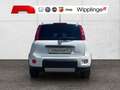 Fiat Panda 4x2 FireFly Hybrid 70 City Life Weiß - thumbnail 4