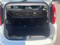 Fiat Panda 4x2 FireFly Hybrid 70 City Life Weiß - thumbnail 13