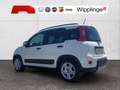Fiat Panda 4x2 FireFly Hybrid 70 City Life Blanco - thumbnail 5