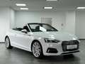 Audi A5 Cabriolet sport/KAM/NAV/SHZ/SLF/LEDER/ Weiß - thumbnail 1