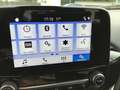 Ford Fiesta Fiesta 5p 1.5 tdci 85cv Gris - thumbnail 12
