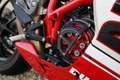 Ducati 1098 1098R Troy Bayliss Nr. 154 / 500 Limited edition, Blanc - thumbnail 42