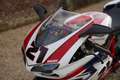 Ducati 1098 1098R Troy Bayliss Nr. 154 / 500 Limited edition, Blanc - thumbnail 26