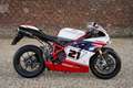 Ducati 1098 1098R Troy Bayliss Nr. 154 / 500 Limited edition, Weiß - thumbnail 32