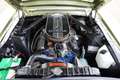 Ford Mustang Shelby GT350 Fastback PRICE REDUCTION! Owner histo Groen - thumbnail 4