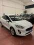 Ford Fiesta autoccarro 2 posti 1.5 tdci 85cv - thumbnail 2