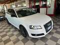 Audi A3 Audi A3 2.0 TDI F.AP. S Tronic Automatico Neopaten Blanc - thumbnail 3