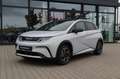 BYD Dolphin Design 60kWh Aktionsfahrzeug *OPENING* Weiß - thumbnail 2