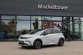 BYD Dolphin Design 60kWh Aktionsfahrzeug *OPENING* Weiß - thumbnail 1