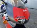 Aprilia RS 250 Reggiani Replica Rouge - thumbnail 7