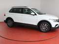 Volkswagen Tiguan Life 1.5TSI 285,-ohne Anzahlung Navi AHK Weiß - thumbnail 22