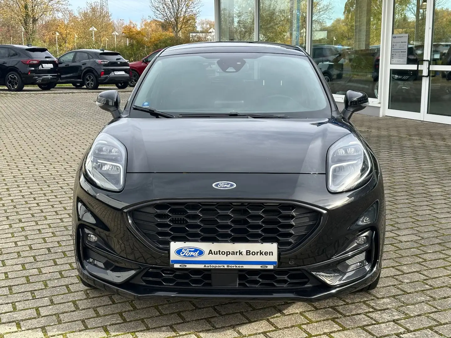 Ford Puma ST-Line X LED Design-Paket Panorama Zwart - 2