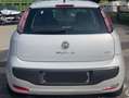 Fiat Punto Evo Punto Evo 5p 1.4 Fun s Alb - thumbnail 2