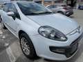 Fiat Punto Evo Punto Evo 5p 1.4 Fun s Alb - thumbnail 5