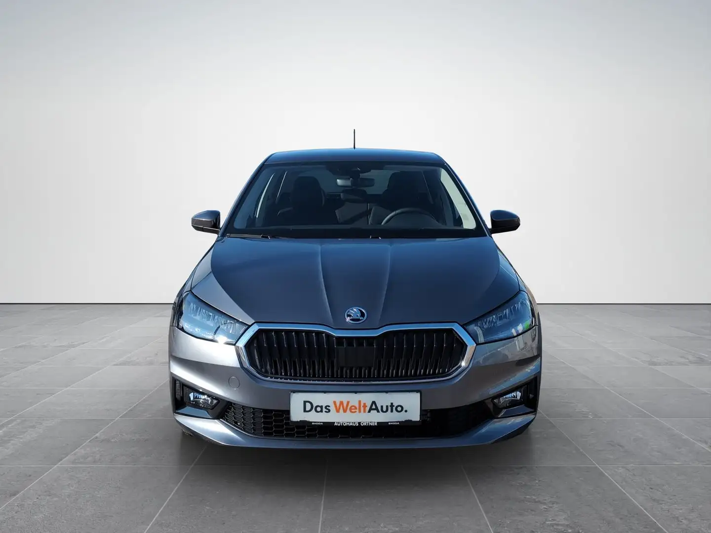 Skoda Fabia Essence Grau - 2