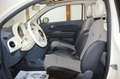 Fiat 500 **Cabrio**Lounge** Weiß - thumbnail 13