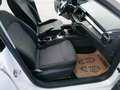 Skoda Fabia Ambition SmartLink Tempomat Sommer+Winterräder Weiß - thumbnail 12