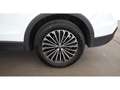 Volkswagen Tiguan 2.0 TDI Goal Aut LED 360-CAM AHK RADAR NAV Weiß - thumbnail 26