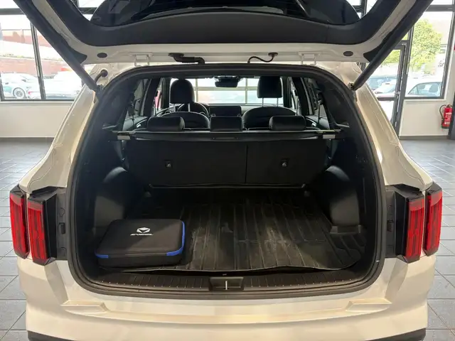 Kia Sorento view 6