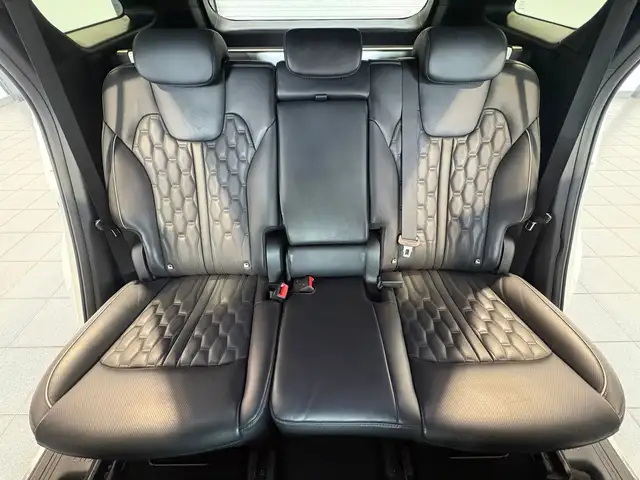 Kia Sorento view 14
