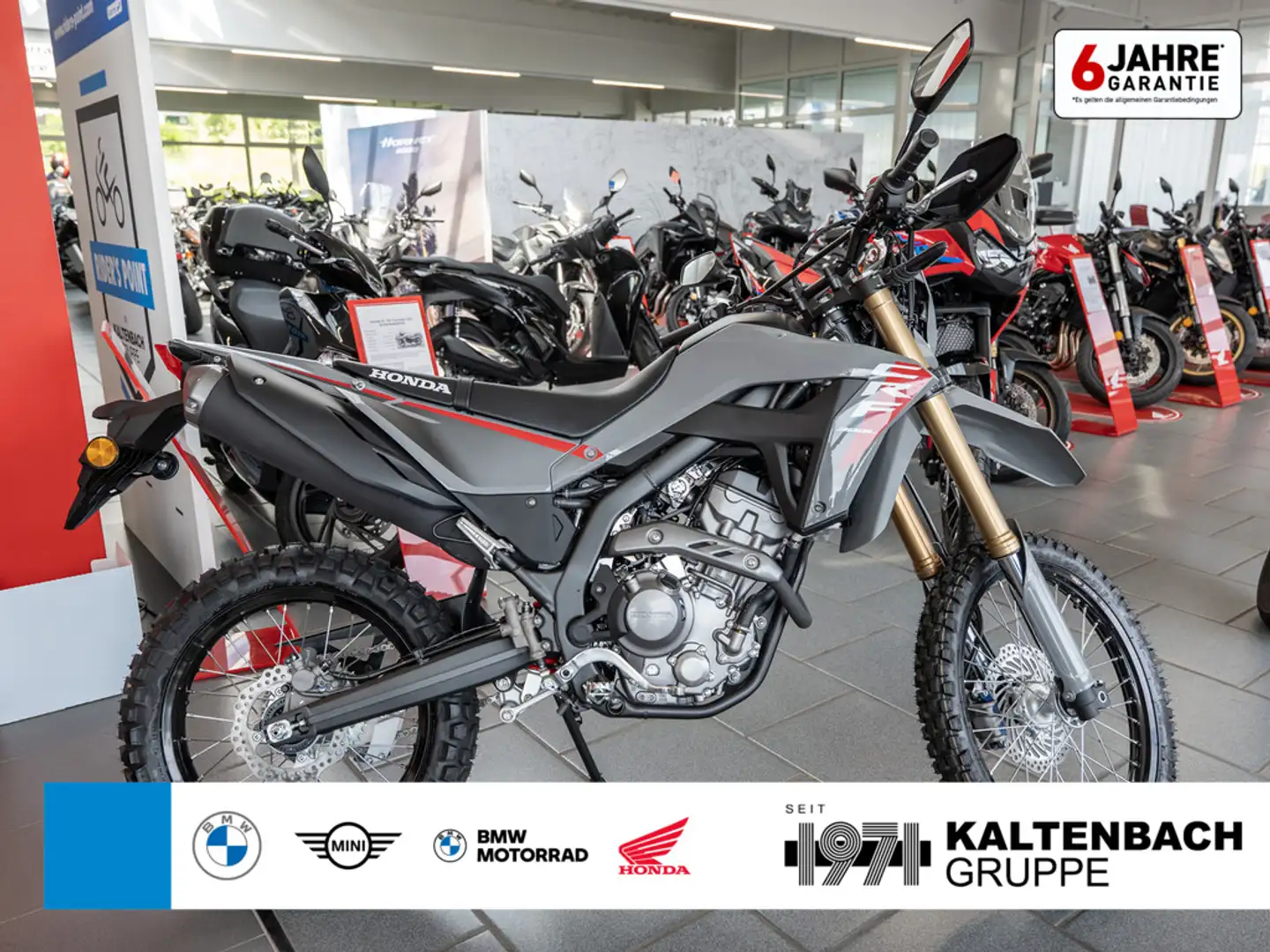 Honda CRF 300 L Grau - 1