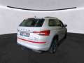 Skoda Kodiaq 2.0 TDI RS 4x4 AHK StHz Pano DSG Grau - thumbnail 2