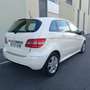 Mercedes-Benz B 180 180CDI Blanco - thumbnail 5