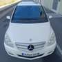 Mercedes-Benz B 180 180CDI Blanco - thumbnail 3