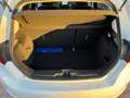 Ford Fiesta Fiesta VII 2017 5p 5p 1.5 tdci Titanium 120cv Wit - thumbnail 13