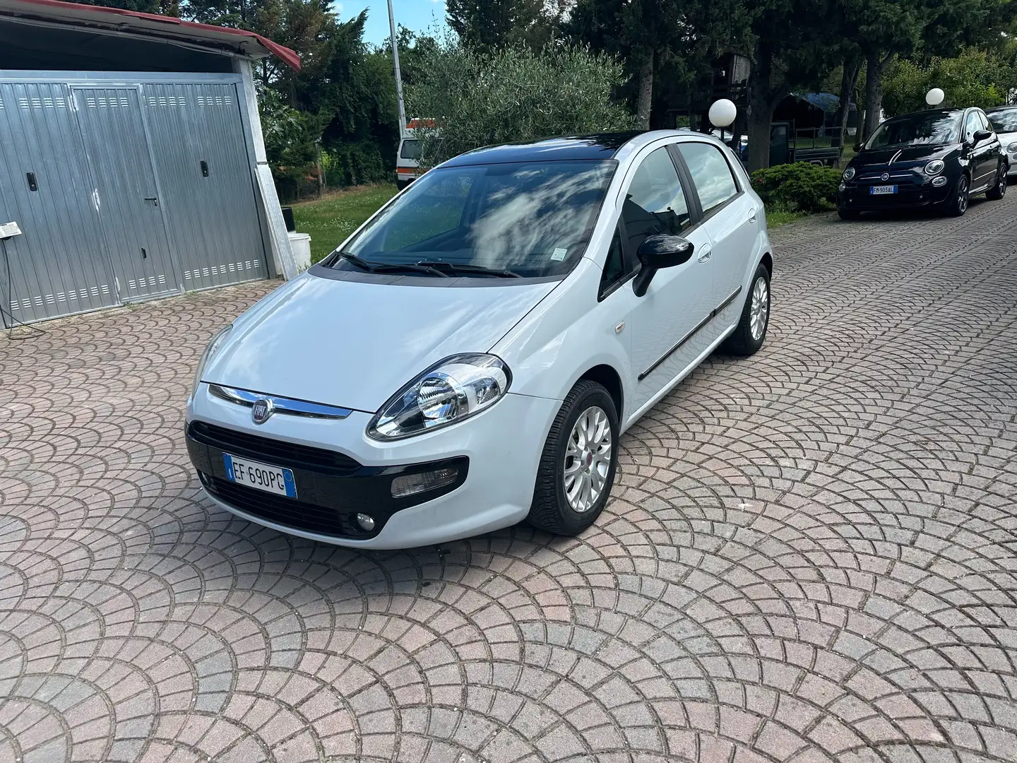 Fiat Punto Evo 5p 1.2 Dynamic 65cv IDONEA PER NEOPATENTATI BELLIS Grigio - 1