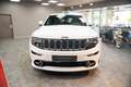 Jeep Grand Cherokee 6.4 V8 HEMI SRT*NAVI*PANO*LEDER* Weiß - thumbnail 5