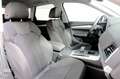 Audi Q5 40 TDI 204CV MHEV Quattro Stronic Sline Grigio - thumbnail 8