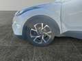 Toyota C-HR 1,8 HSD C-LUB inkl. WR und NAVI ! Weiß - thumbnail 13