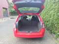 Opel Astra Vauxhall Astra 1.7 CDTI Life (RHD) right hand driv Rot - thumbnail 8