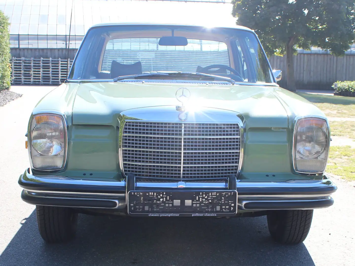 Mercedes-Benz 280 Grün - 2