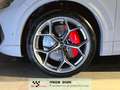 Audi RS Q8 RS Q8 4.0 mhev 48V performance 640cv tiptronic Gris - thumbnail 7