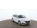 Skoda Octavia Combi 1.4 TSI Style iV Aut MATRIX RADAR Weiß - thumbnail 6