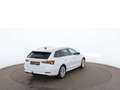 Skoda Octavia Combi 1.4 TSI Style iV Aut MATRIX RADAR Weiß - thumbnail 3