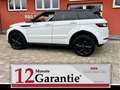 Land Rover Range Rover Evoque SE Dynamic*AWD*20Zoll*Panorama*TÜVneu Blanc - thumbnail 2