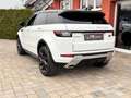 Land Rover Range Rover Evoque SE Dynamic*AWD*20Zoll*Panorama*TÜVneu Weiß - thumbnail 3