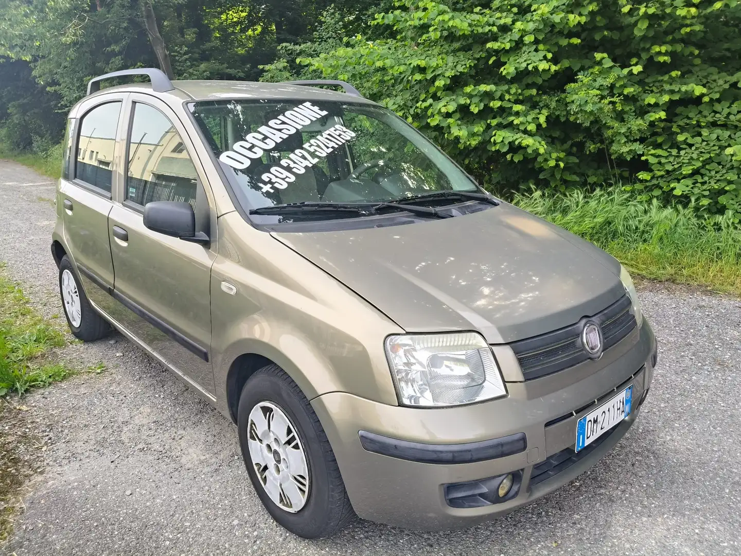 Fiat Panda Panda 1.2 Dynamic Bronzo - 1