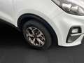 Kia Sportage Vision 2WD 1.6 GDI +NAVI+CAM+CARPLAY+SHZ+ Bianco - thumbnail 8