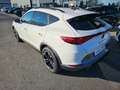 CUPRA Formentor 1,4 DSG e-Hybrid *Navi*Sitzheizung* Blanc - thumbnail 4