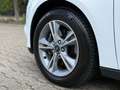 Ford Focus Turnier 2.0 TDCi  Champions Edition *Navi Blanc - thumbnail 9