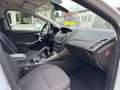 Ford Focus Turnier 2.0 TDCi  Champions Edition *Navi Blanc - thumbnail 15