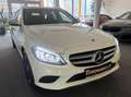 Mercedes-Benz C 300 T d 4Matic AHK*RFK*Business Plus*Isofix*Park-Paket Weiß - thumbnail 9