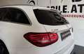 Mercedes-Benz C 300 T d 4Matic AHK*RFK*Business Plus*Isofix*Park-Paket Weiß - thumbnail 5
