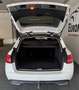 Mercedes-Benz C 300 T d 4Matic AHK*RFK*Business Plus*Isofix*Park-Paket Weiß - thumbnail 43