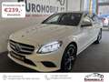 Mercedes-Benz C 300 T d 4Matic AHK*RFK*Business Plus*Isofix*Park-Paket Weiß - thumbnail 1